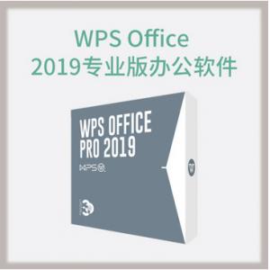 金山 WPS Office 2019專業(yè)版辦公軟件 辦公套件