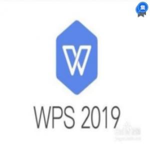金山 WPS Office 2019 for linux專業版辦公軟件V11辦公套件
